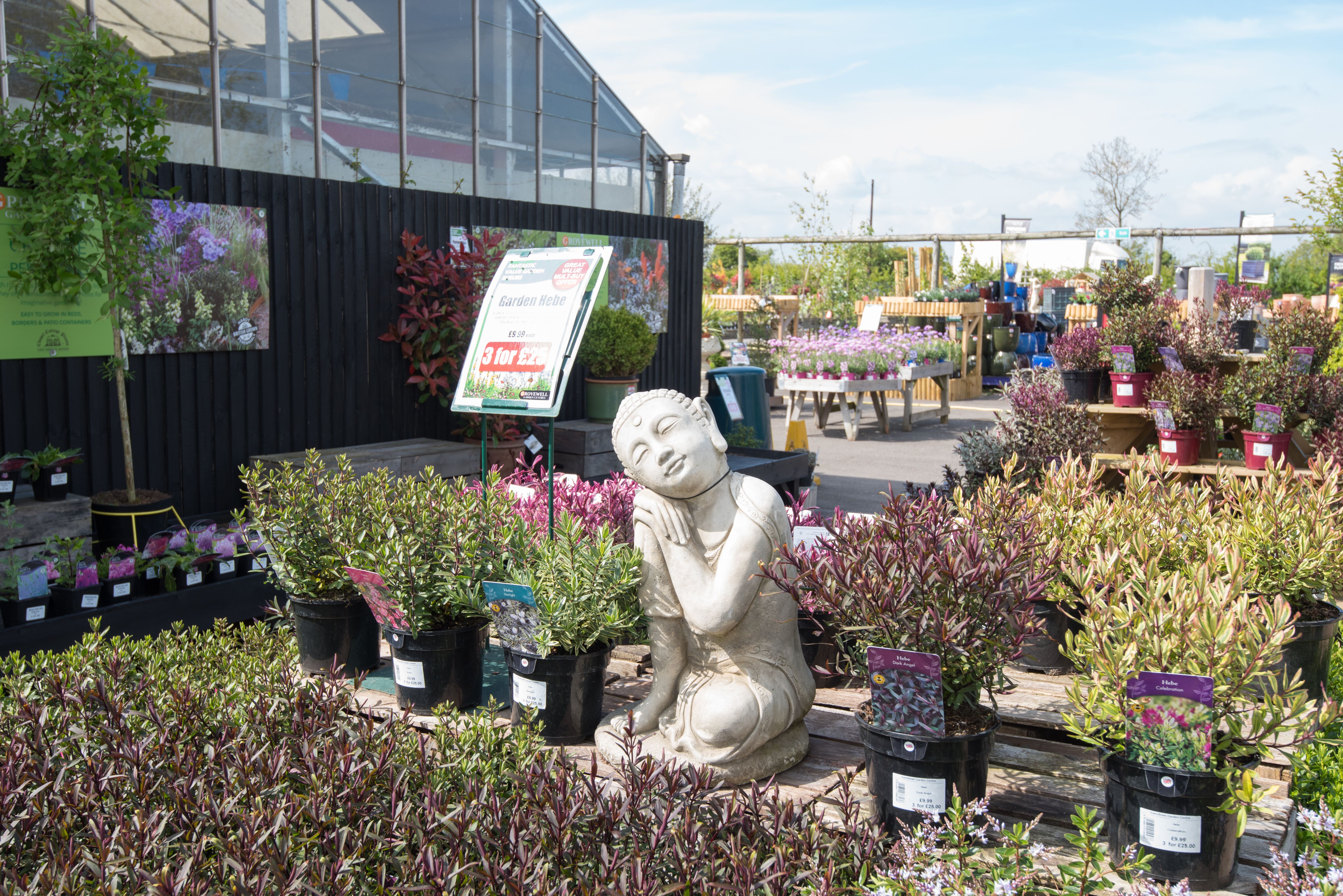 Hamstreet Garden Centre Grovewell Garden Centres