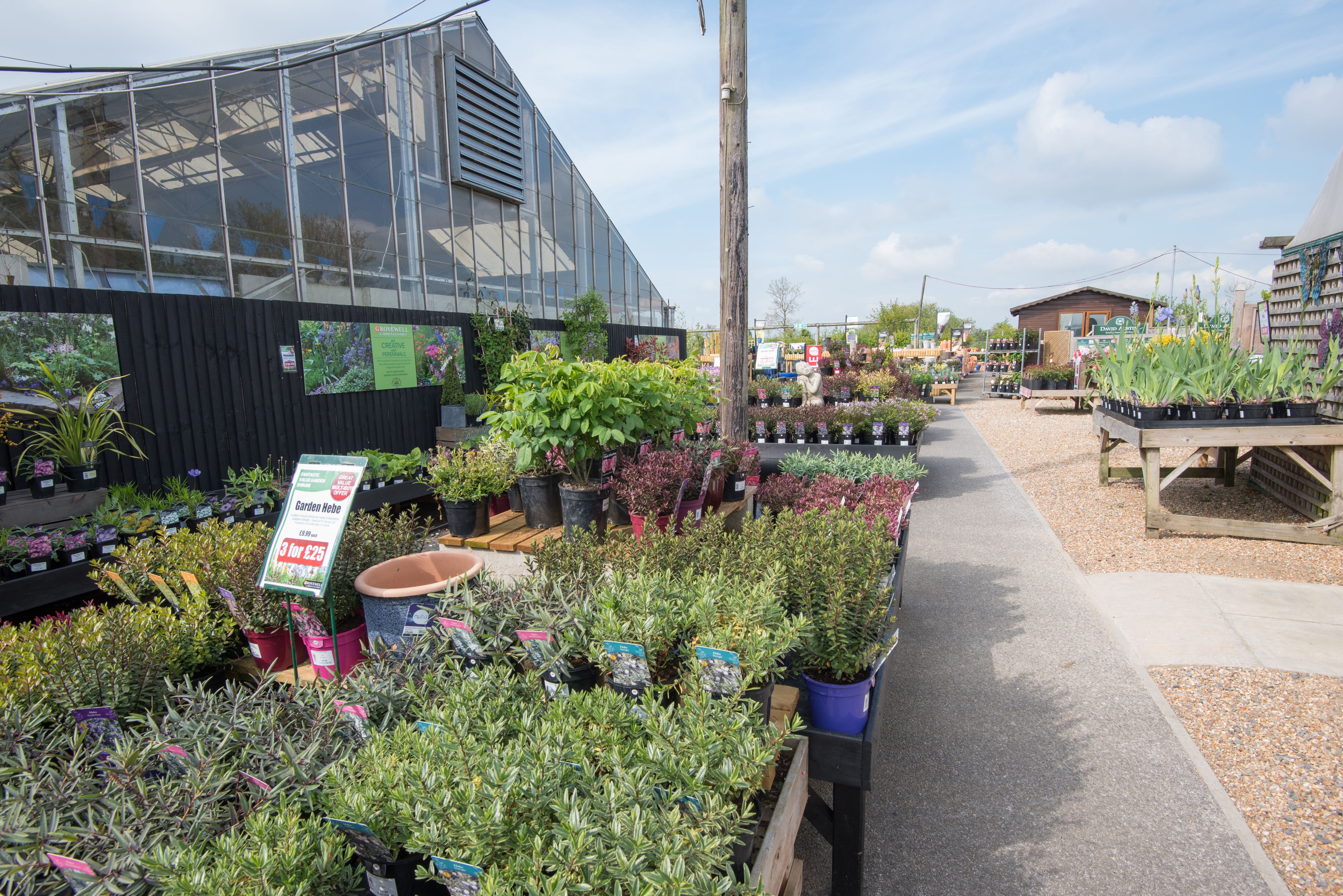 Hamstreet Garden Centre Grovewell Garden Centres