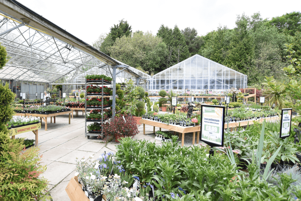 Folkestone Garden Centre Grovewell Garden Centres